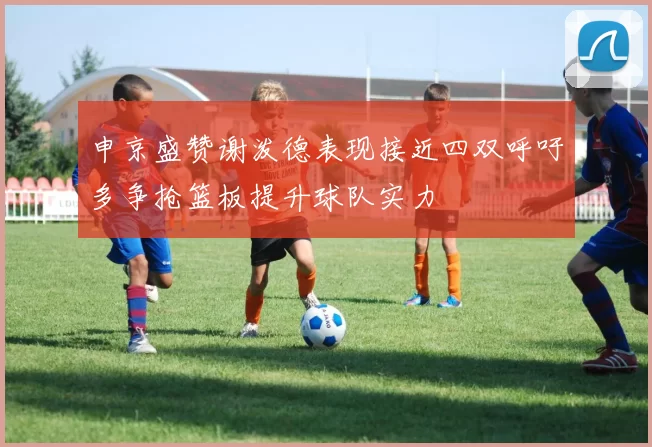 申京盛赞谢泼德表现接近四双呼吁多争抢篮板提升球队实力