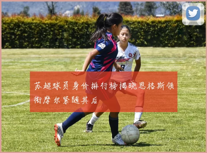 苏超球员身价排行榜揭晓恩格斯领衔摩尔紧随其后